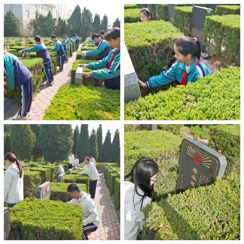 图片5.jpg