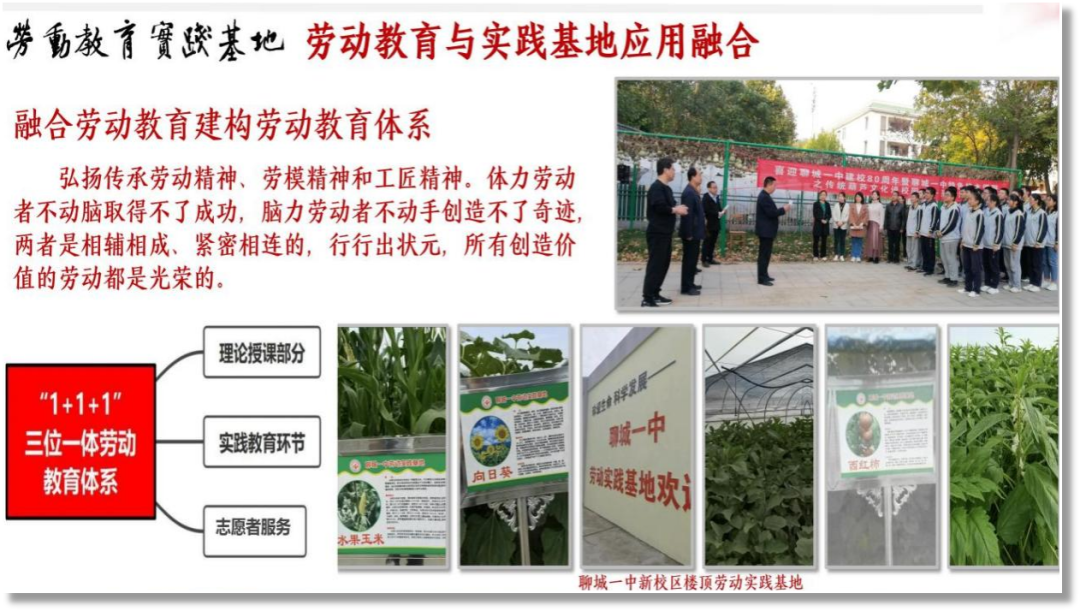 劳动.png