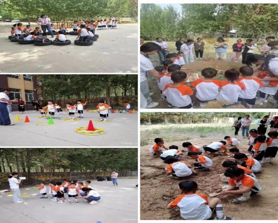 图片12