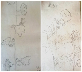 图示, 示意图

中度可信度描述已自动生成:ver1