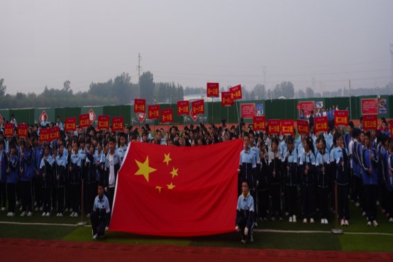 ce6050332941b0d944b2ca000c539320