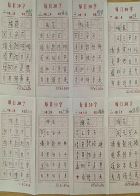 b0cada33ceccbc41b95caf040a8496a