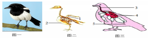 e91aae2dbfa248ac81b30e9a0cb5c0f4