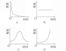 3ccadc6c3eed78ec21c4d9b08820679