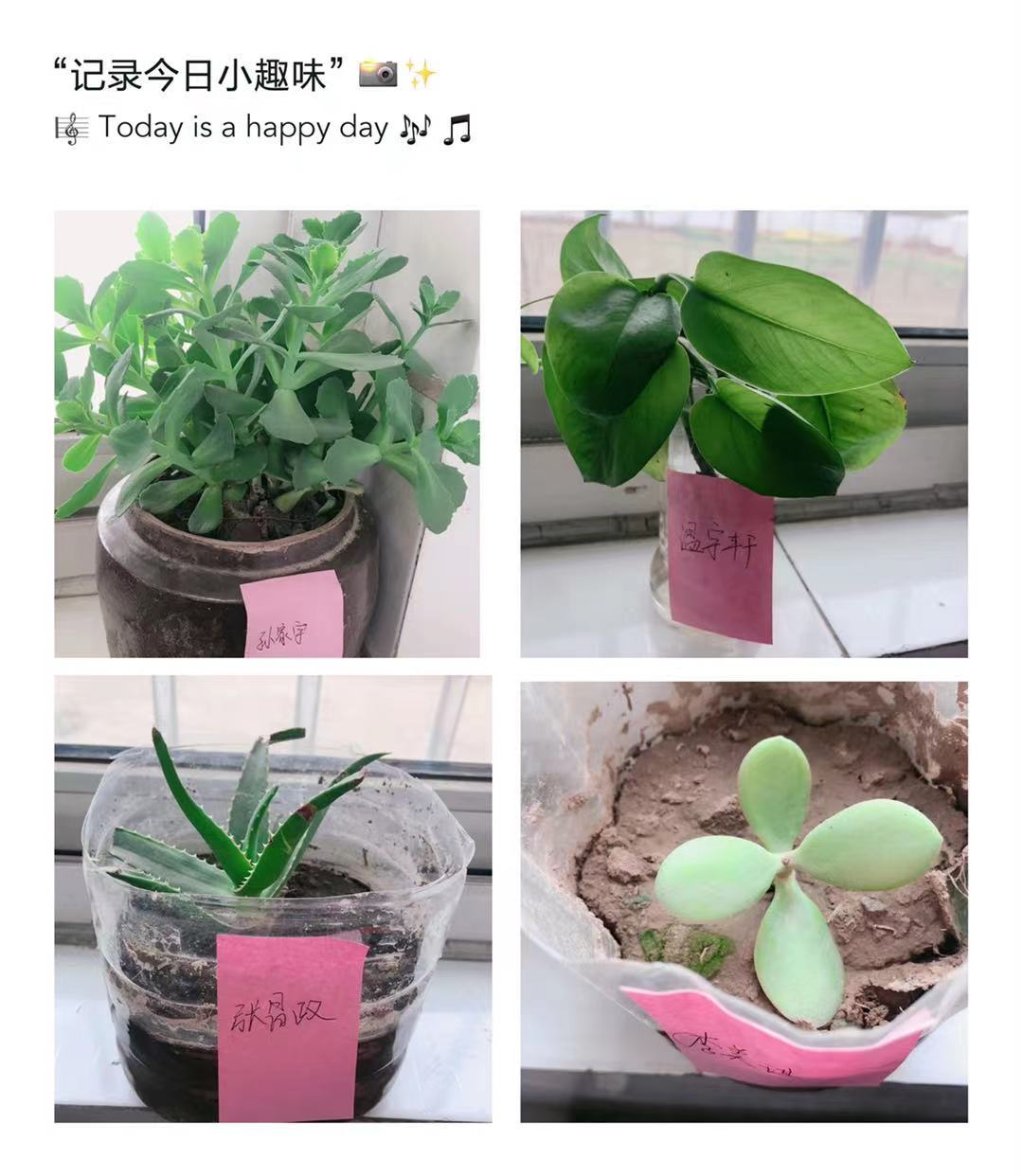 微信图片_20210512105243.png