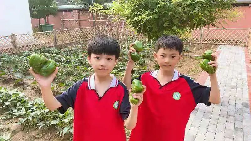 微信图片_20210616194736.jpg
