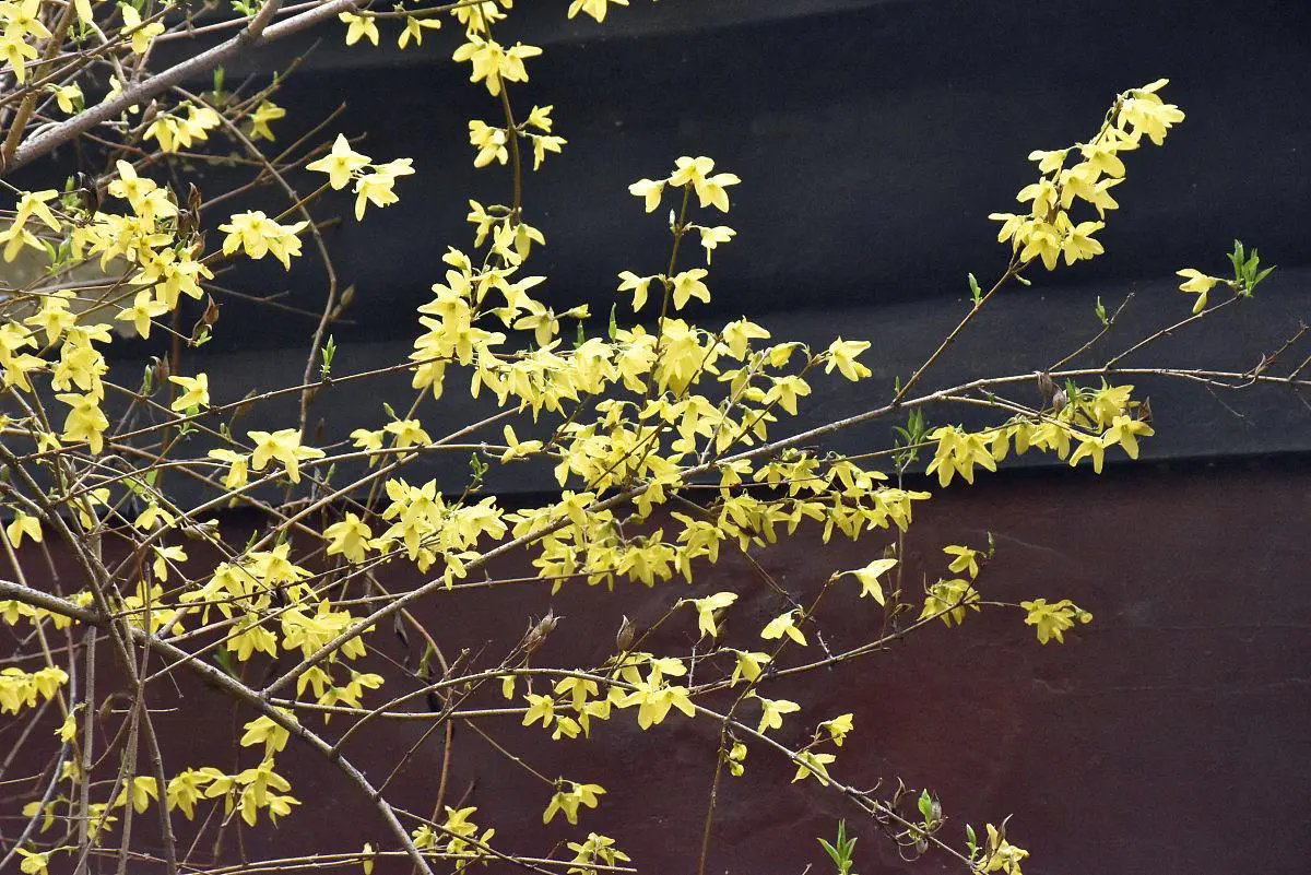 1646805205393283.png image.png