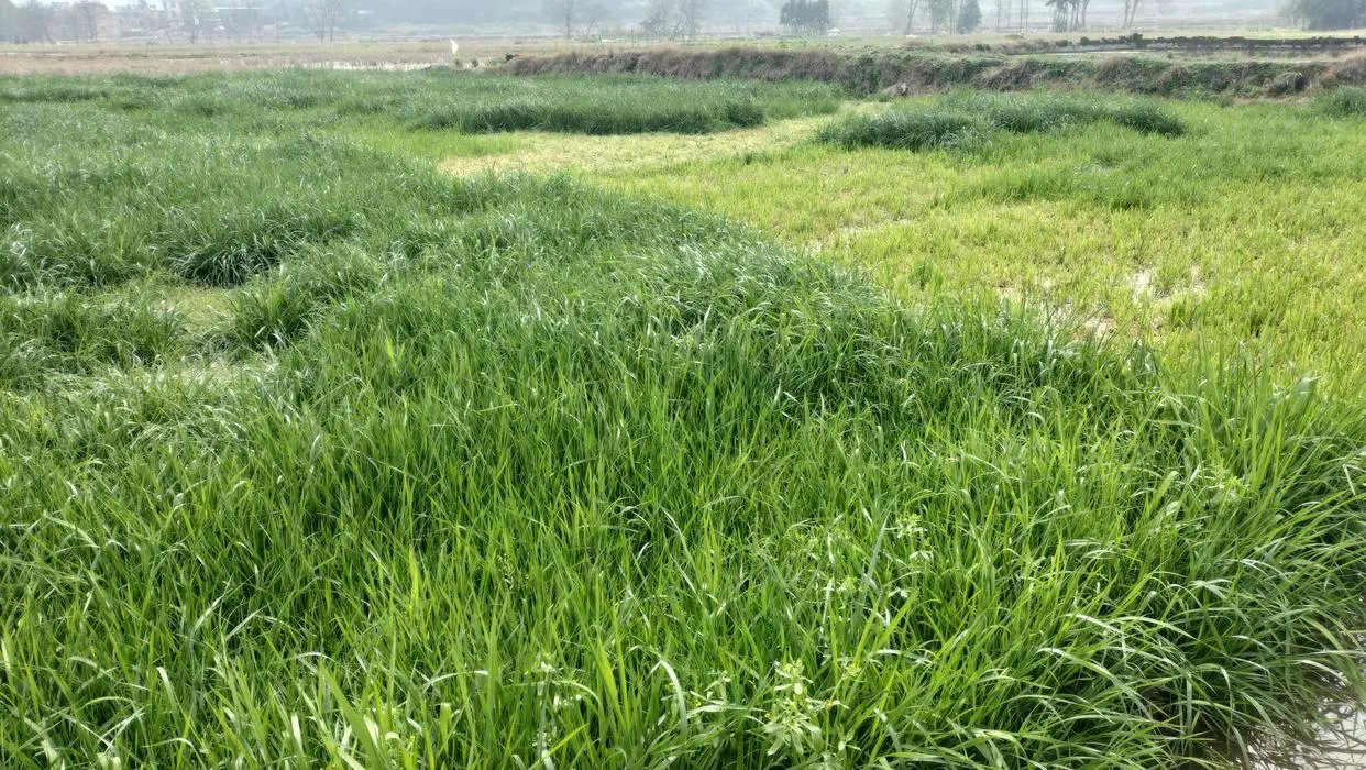 1646805293588037.png image.png