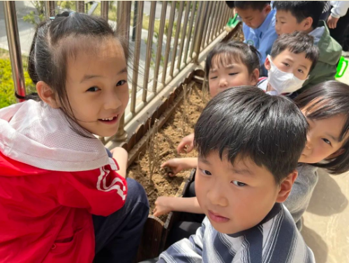 1650857816429235.png image.png