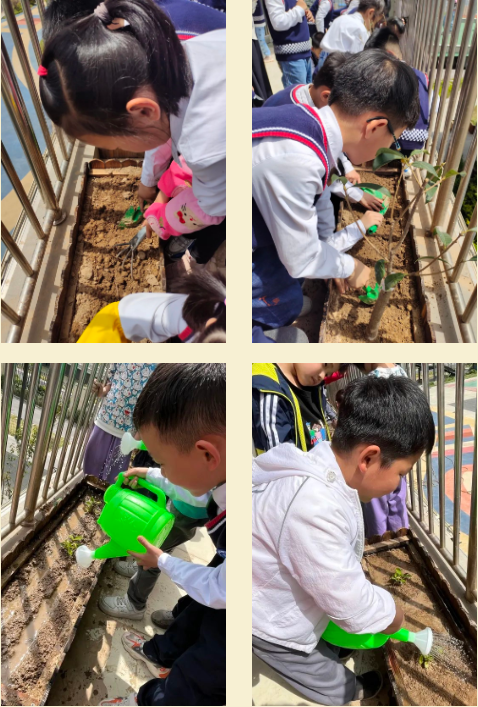 1650857893725272.png image.png