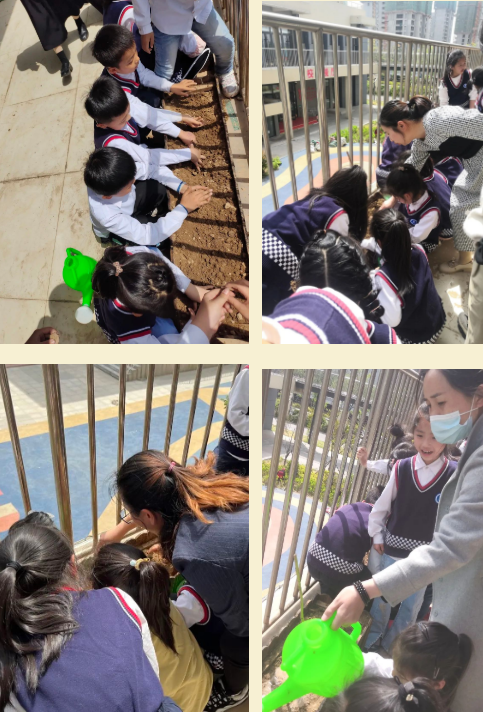 1650857917261044.png image.png