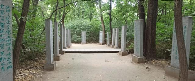 1677549577572712.png 1677549577572712.png