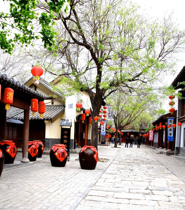 1677551258809492.jpeg 1677551258809492.jpeg