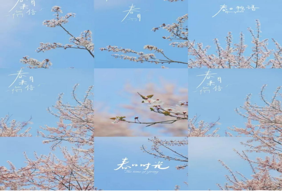 1_追逐青春，不负韶华----莘县第二实验小学第三届青年素养大赛1090.png