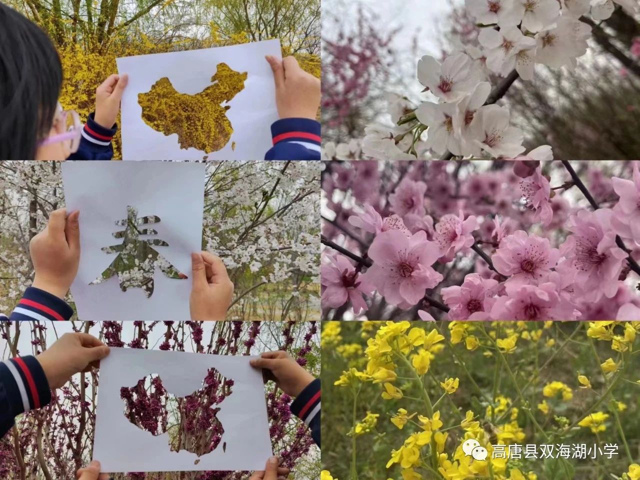 微信图片_20230328154119.jpg