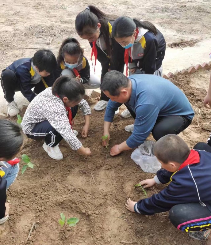 图1：4月19日，在顾官屯镇中心小学兴隆村校区劳动实践基地里，老师给孩子们讲解种植要领.jpg