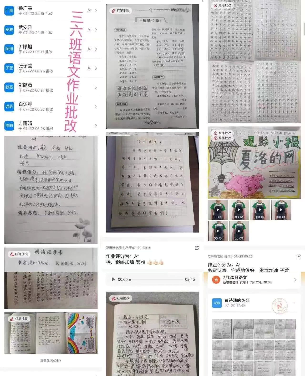 1691043084831795.png