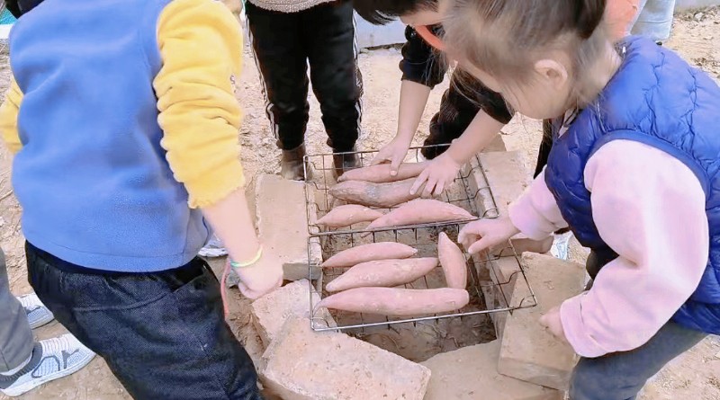 聊城高新区天津路实验幼儿园 孩子们把地瓜放到搭建的灶台中，准备开烤！.jpg