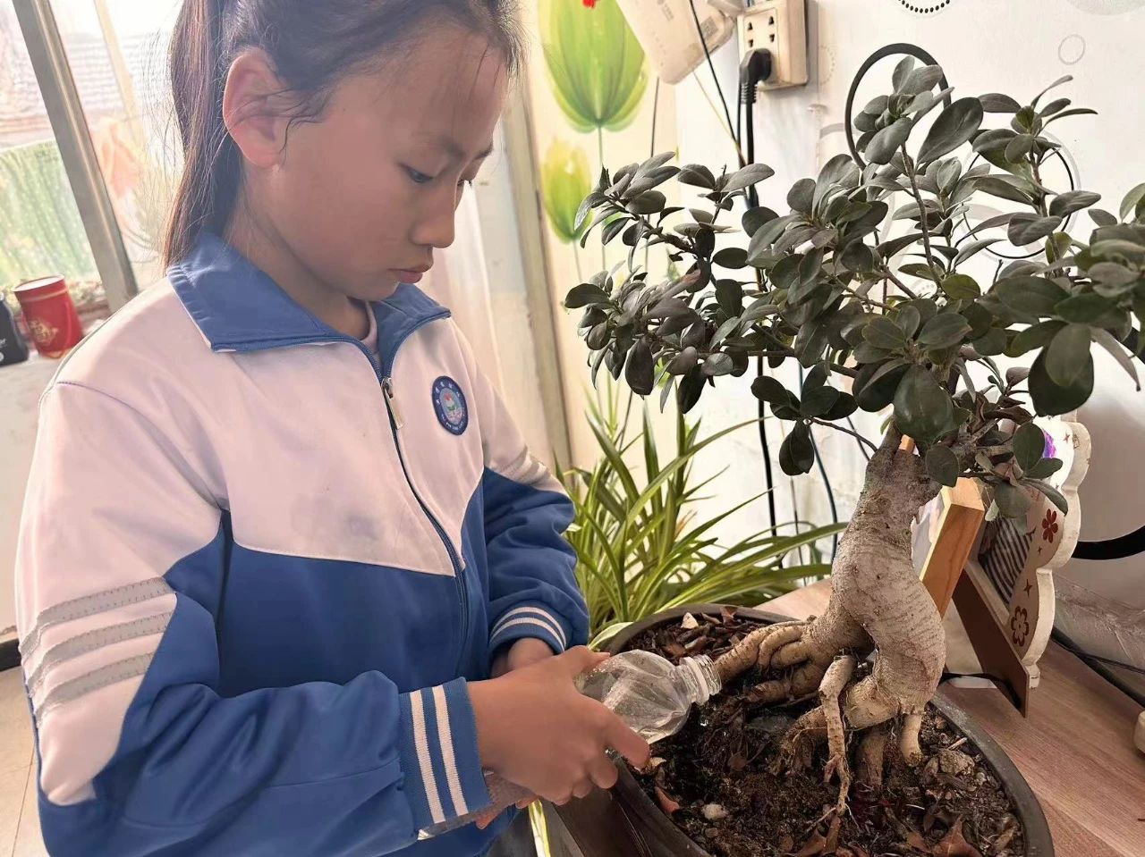 1711343088223125.jpg 微信图片_20240325130424.jpg