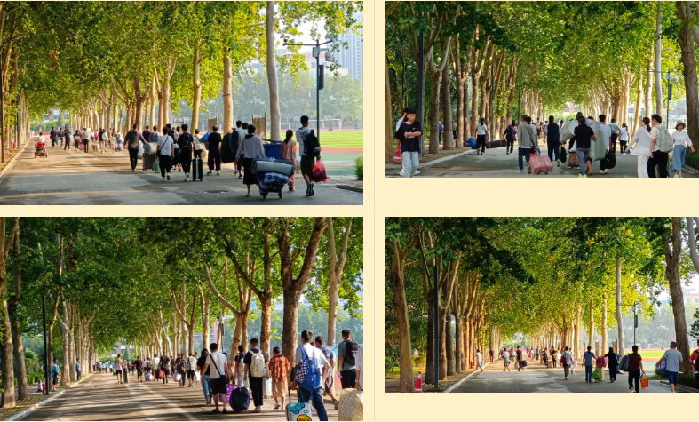 1724414357426701.png 1724413941023.png