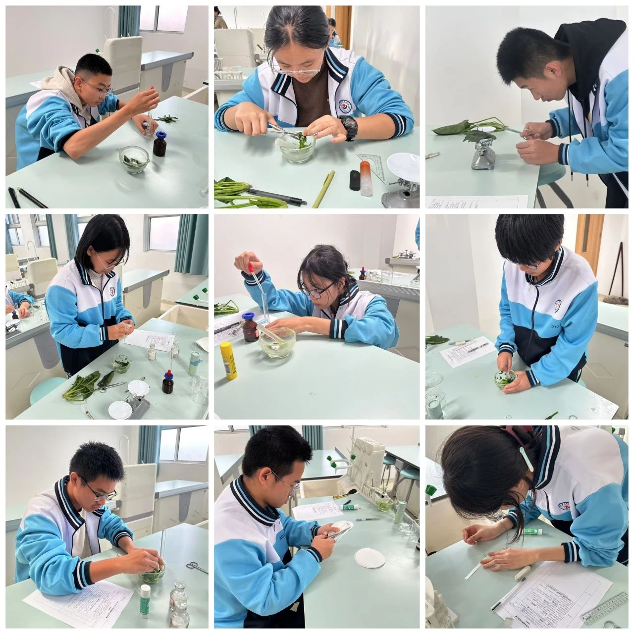 1732067801648675.jpg 微信图片_20241120095500.jpg