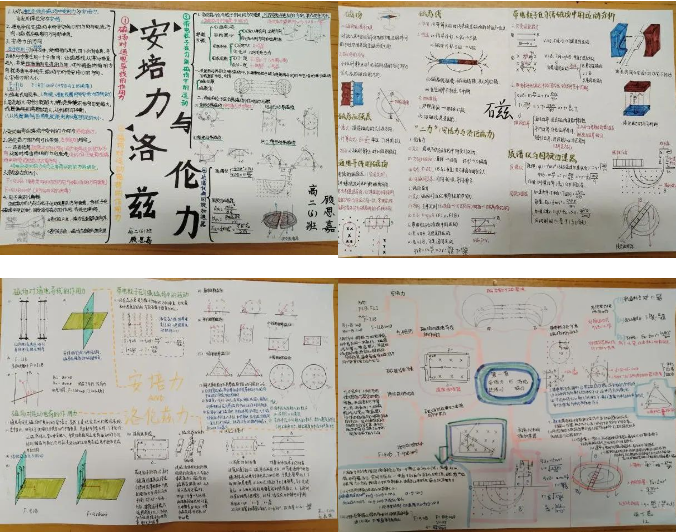 1732496510846476.png 1732496116389.png